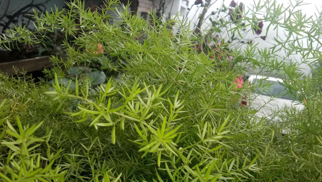 Ezhil Residency Kodaikanal Exterior foto